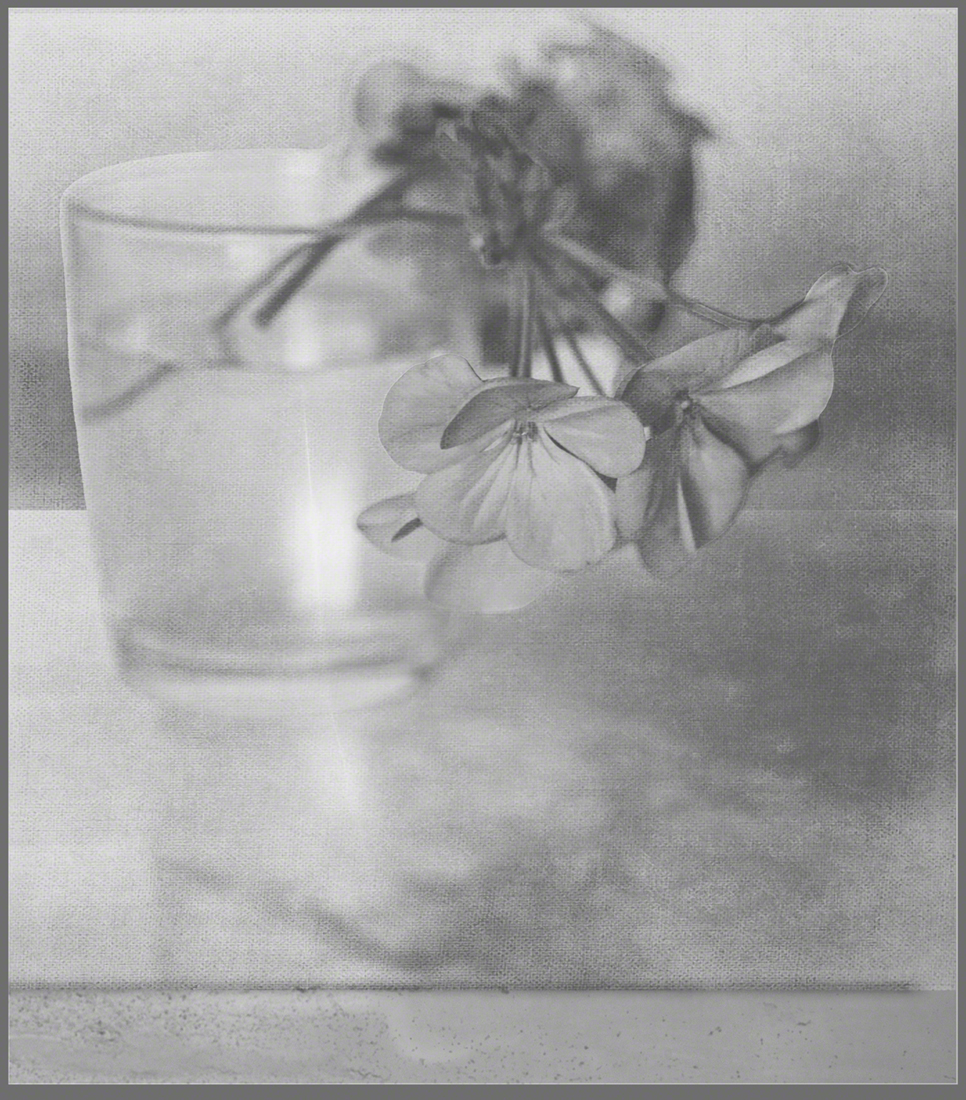 After Adolph de Mayer