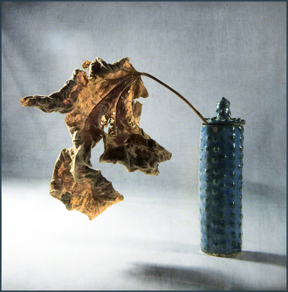 A fig leaf and vase